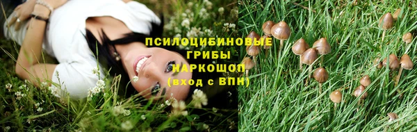 дурь Краснотурьинск