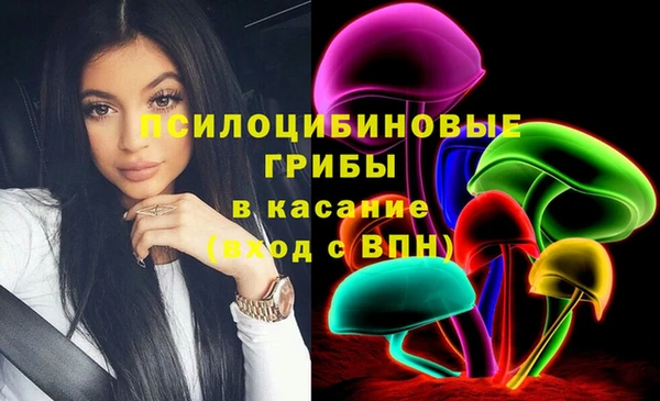 не бодяженный Краснослободск