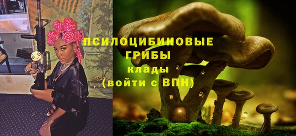 не бодяженный Краснослободск